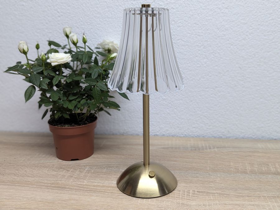 Новий Настільна LED лампа Rose Diamond Table Lamp